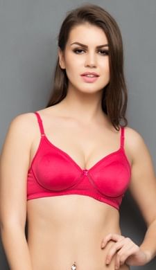 https://image.clovia.com/media/clovia-images/images/225x390/clovia-picture-cotton-rich-non-padded-wirefree-t-shirt-bra-in-hot-pink-15130.JPG