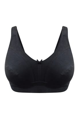 36 d size bra