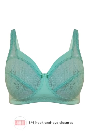 Clovia Lace Non-Padded Non-Wired Full Cup Bra