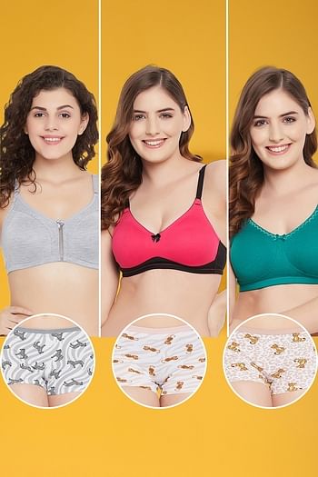 Front listing image for Pack of 6 Non-Padded Non-Wired Full Figure T-shirt Bras & Mid Waist Animal Print Boyshorts - Cotton