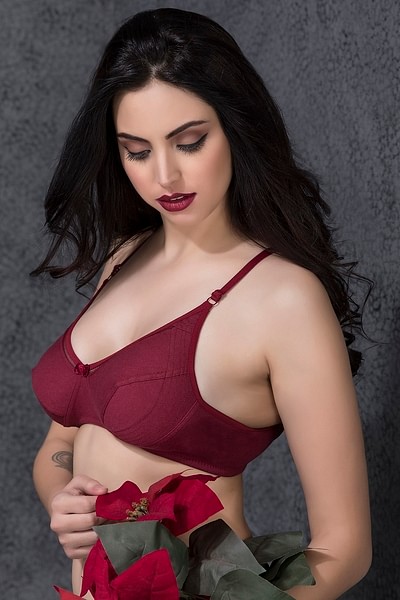 Buy Padded Underwired Full Cup Bra in Maroon Online India, Best Prices, COD  - Clovia - BR1949R09