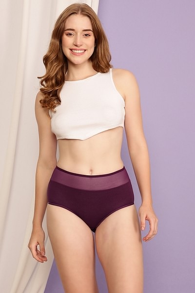 Buy High Waist Hipster Panty in Wine Colour with Powernet Panels