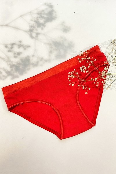Photo of Red Lacy Underwear on Silky Fabric