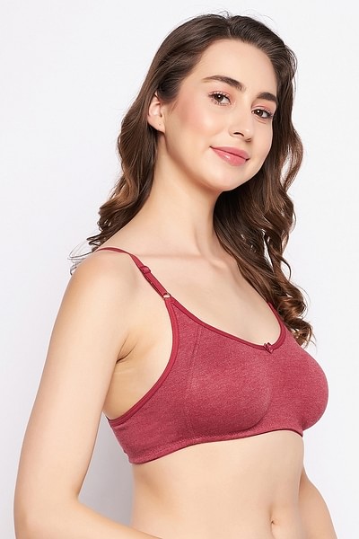 Buy Soft Comfy Everyday Seamless T-Shirt Bra in Maroon Melange Color Online  India, Best Prices, COD - Clovia