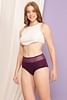 Buy High Waist Hipster Panty in Wine Colour with Powernet Panels - Cotton  Online India, Best Prices, COD - Clovia - PN1167P15
