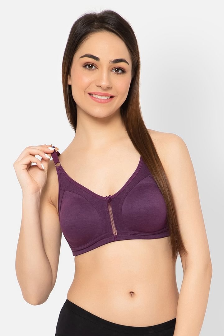 Buy Non-Padded Non-Wired Full Figure T-shirt Bra in Wine Colour