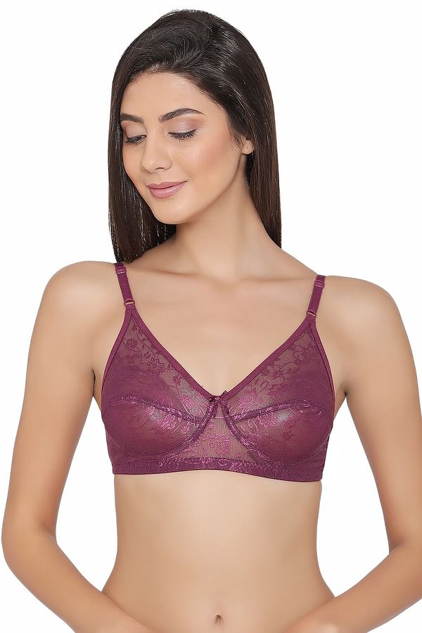 Buy Lace Non-Padded Non-Wired Full Coverage Bra in Purple