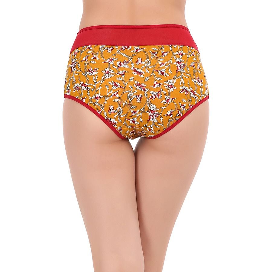 Buy Cotton High Waist Floral Print Hipster Panty With Powernet Panel Online India Best Prices 9047