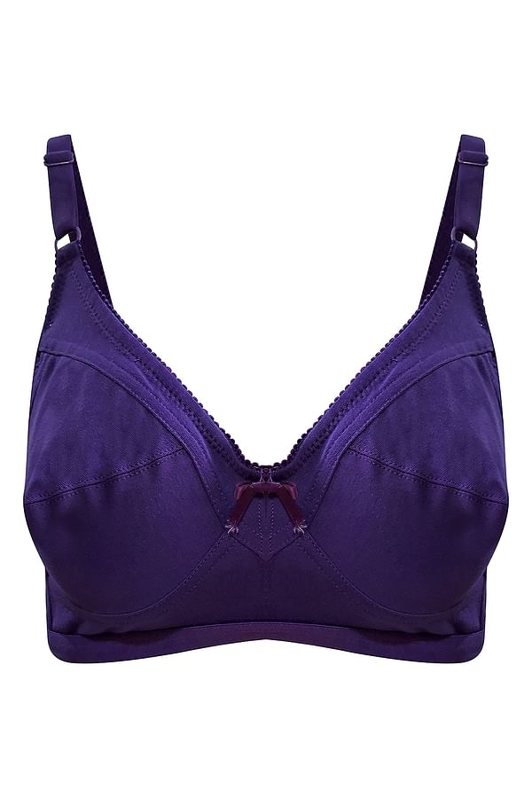 Buy Non Padded Non Wired Full Figure Bra In Purple Cotton Rich Online