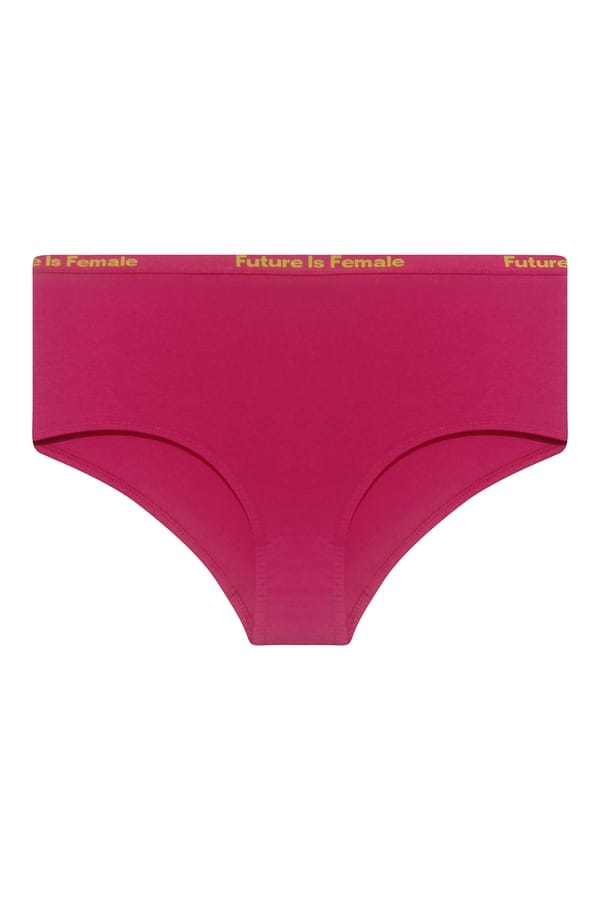 Buy High Waist Hipster Panty in Magenta Cotton Online India, Best