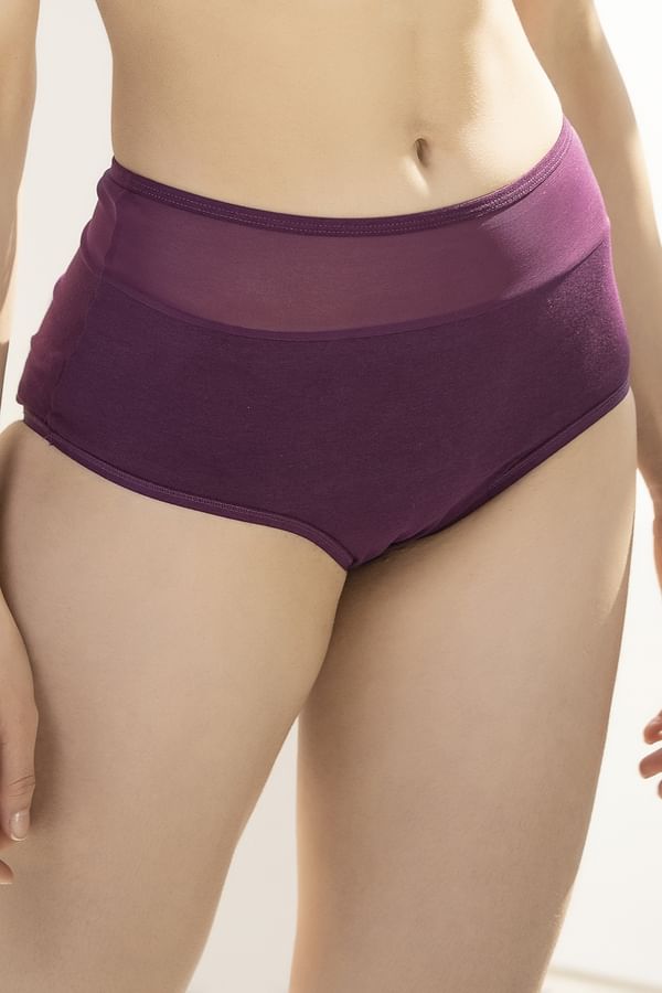 Buy High Waist Hipster Panty in Wine Colour with Panels Cotton Online India, Best