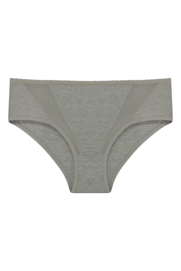 Buy Mid Waist Hipster Panty with Mesh Inserts in Grey Online India