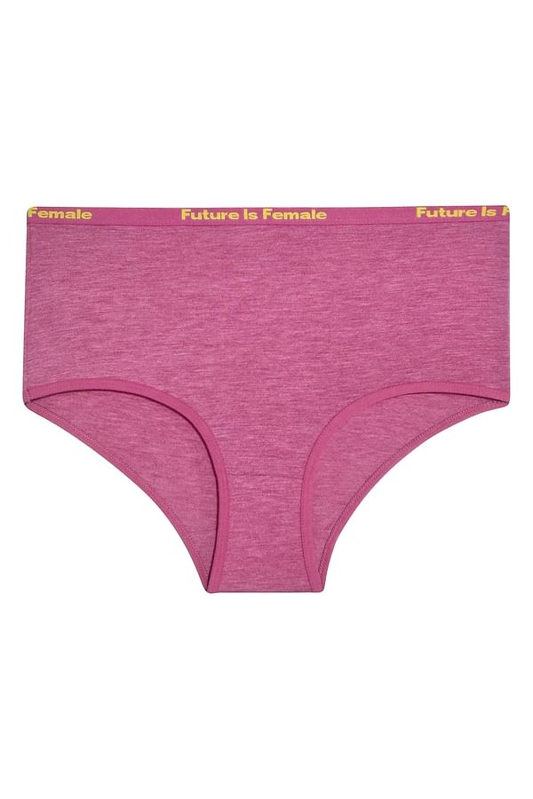 Buy High Waist Hipster Panty with Text Print Waistband in Pink - Cotton  Online India, Best Prices, COD - Clovia - PN3313S22