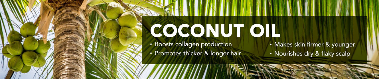 
                            Coconut Oil